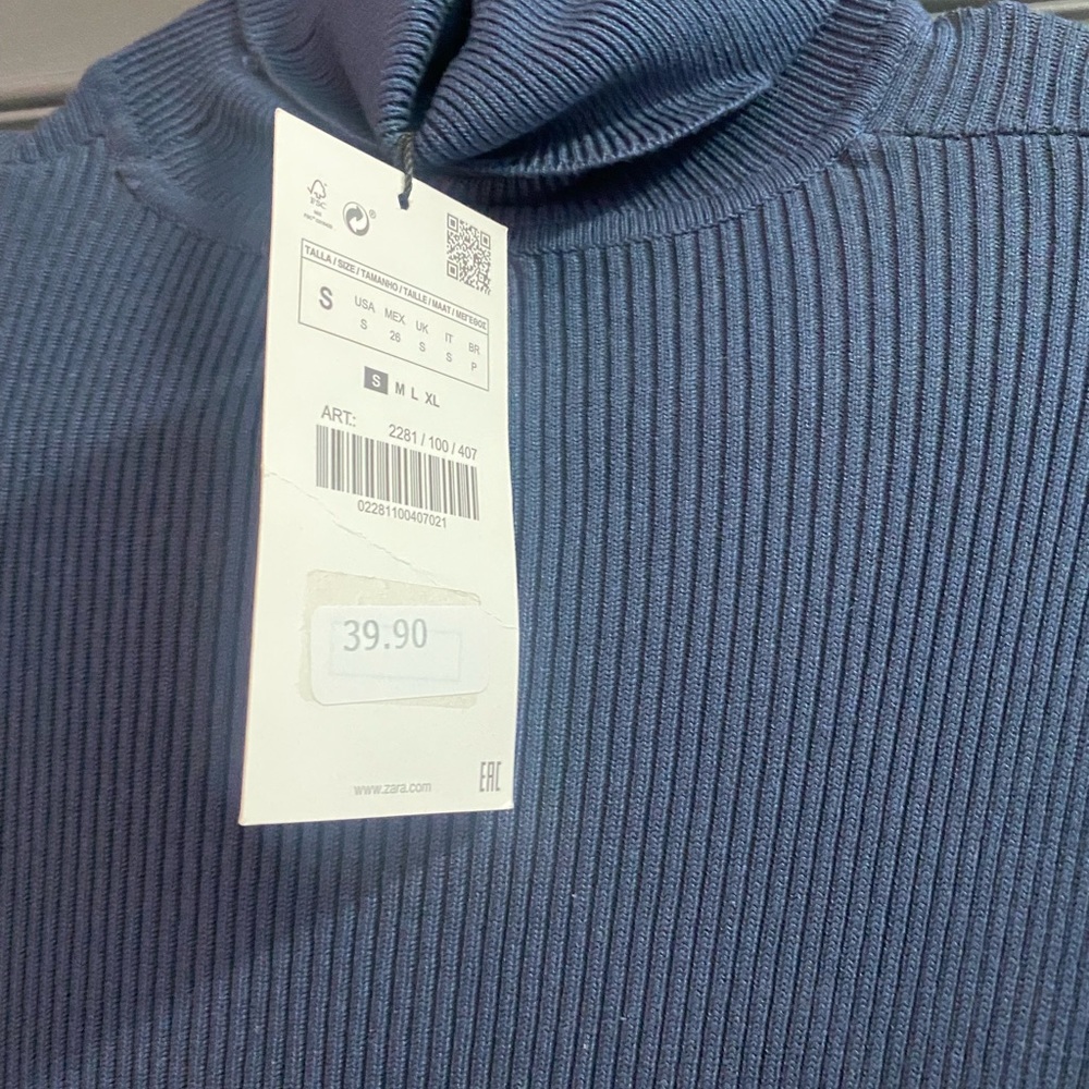 Zara dress